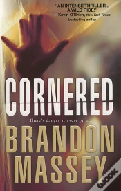 Capa do artigo Cornered