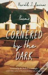 Cornered By The Dark