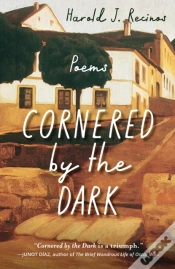 Capa do artigo Cornered By The Dark