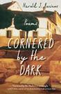 Cornered By The Dark - Preview