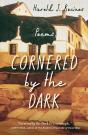 Cornered By The Dark - Preview