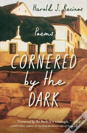 Capa do artigo Cornered By The Dark