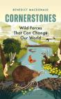Cornerstones - Preview