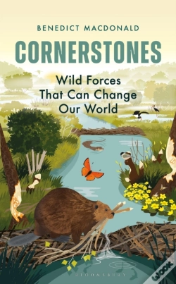 Capa do artigo Cornerstones