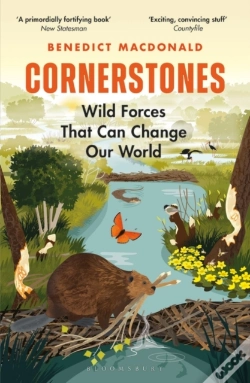 Capa do artigo Cornerstones