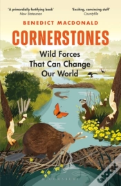 Capa do artigo Cornerstones