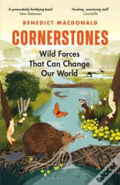Capa do artigo Cornerstones