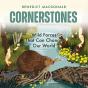 Cornerstones - Preview