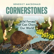 Capa do artigo Cornerstones