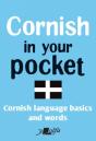 Cornish In Your Pocket - Preview