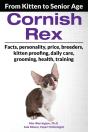 Cornish Rex - Preview