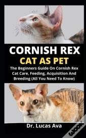 Cornish Rex Cat As Pet