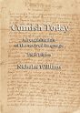 Cornish Today - Preview