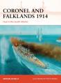 Coronel And Falklands 1914 - Preview