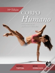 Capa do artigo Corpo Humano