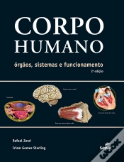 Capa do artigo Corpo Humano: Órgãos, Sistemas E Funcionamento