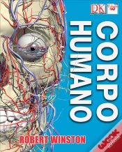 Capa do artigo Corpo Humano