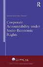 Corporate Accountability Under Socio-Economic Rights - Preview