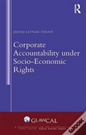 Corporate Accountability Under Socio-Economic Rights