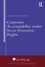 Corporate Accountability Under Socio-Economic Rights - Preview