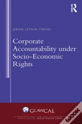 Corporate Accountability Under Socio-Economic Rights