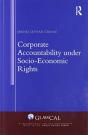 Corporate Accountability Under Socio-Economic Rights - Preview