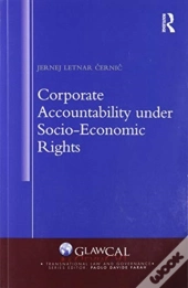 Corporate Accountability Under Socio-Economic Rights