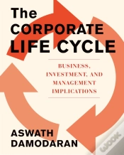 Capa do artigo Corporate Life Cycle