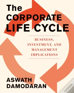 Capa do artigo Corporate Life Cycle