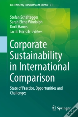 Capa do artigo Corporate Sustainability In International Comparison