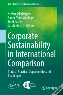 Capa do artigo Corporate Sustainability In International Comparison