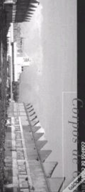 Capa do artigo Corpos de Cidade