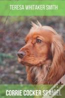 Corrie Cocker Spaniel