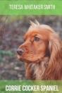 Corrie Cocker Spaniel - Preview