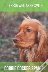 Corrie Cocker Spaniel