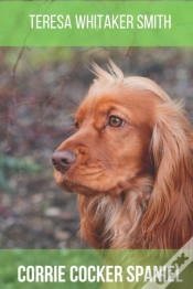 Capa do artigo Corrie Cocker Spaniel