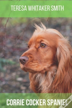 Capa do artigo Corrie Cocker Spaniel