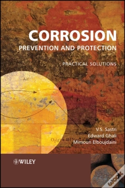Capa do artigo Corrosion Prevention And Protection