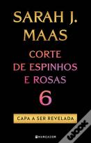 Corte de Espinhos e Rosas
