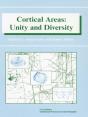 Cortical Areas - Preview