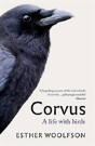 Corvus - Preview