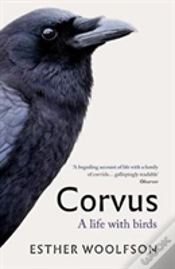 Capa do artigo Corvus
