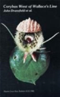 Corybas West Of Wallace'S Line - Preview