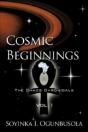 Cosmic Beginnings The Chaos Chronicals V - Preview