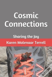 Capa do artigo Cosmic Connections