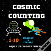 Cosmic Counting