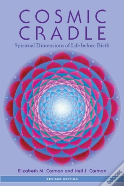 Capa do artigo Cosmic Cradle, Revised Edition