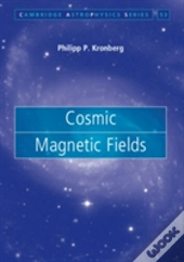 Cosmic Magnetic Fields