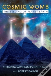 Capa do artigo Cosmic Womb
