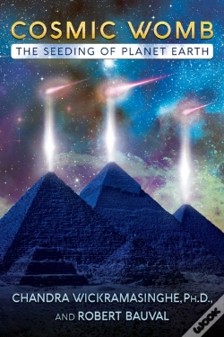 Capa do artigo Cosmic Womb